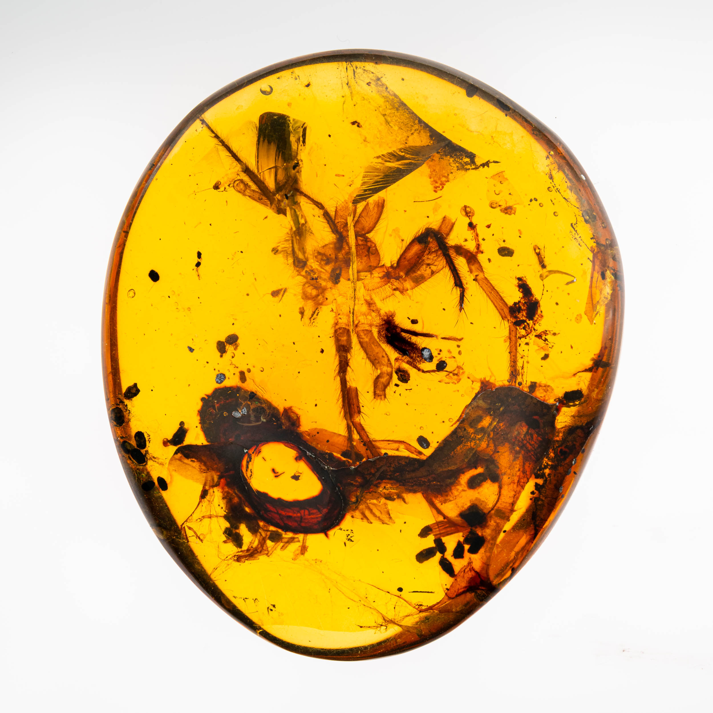 Amber Gemstone — Macro Detail