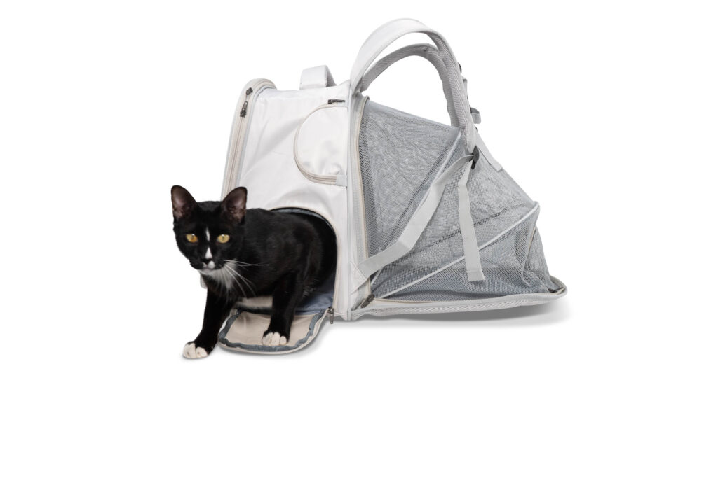 Pet Travel Stroller — product detail by 6Corners Studio, Bangkok